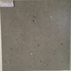 HS60010B 300x300