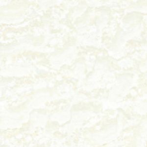 CS8003 300x300